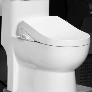 Abattant Japonais Luxe Silver