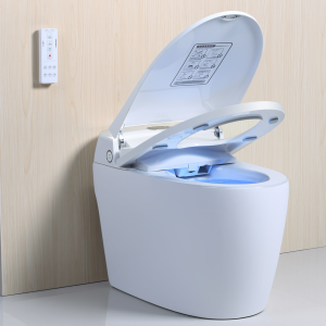 WC Japonais Monobloc Luxe SAPPHIRE