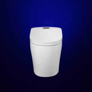 WC Japonais TopToilet Sapphire vu de face