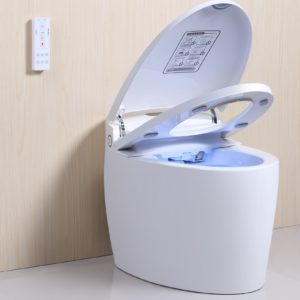 WC Japonais Monobloc Luxe DIAMOND PLUS Version 2