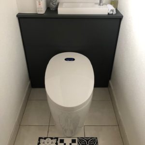Installation client WC japonais TopToilet Diamond