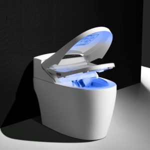 WC Japonais Monobloc Luxe PLATINIUM2 PLUS Version 2