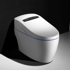 WC Japonais Monobloc Luxe PLATINIUM2 Version 2