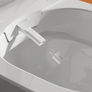 Tête de Buses pour TopToilet Bronze V2, Silver V2, Gold Connect, Topaze et Ultimate